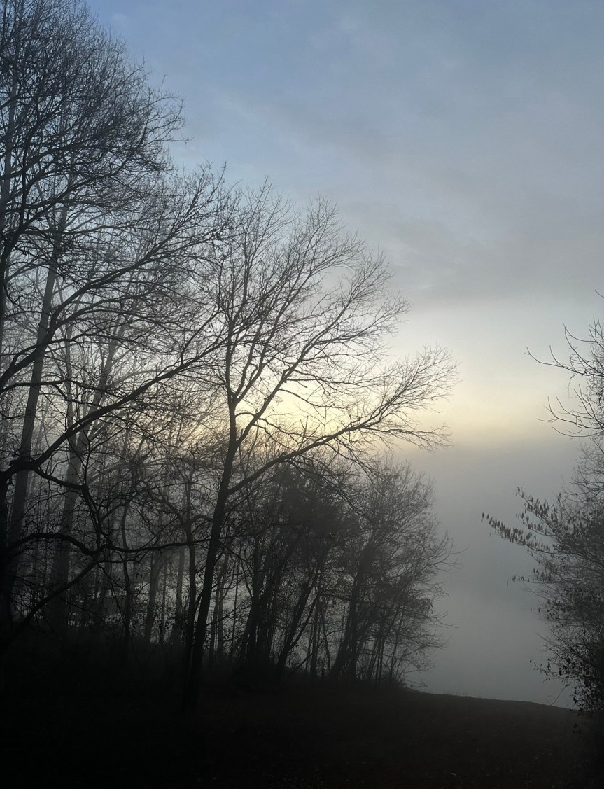 Wordless Wednesday 12-6-2023