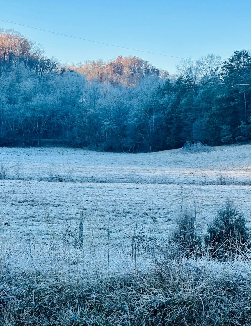 Wordless Wednesday,                         Frosty Tennessee&nbsp;Morning