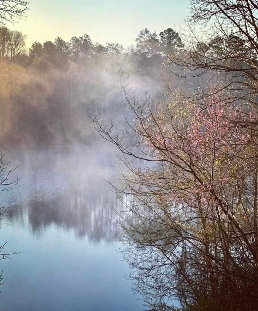 It’s Redbud Winter