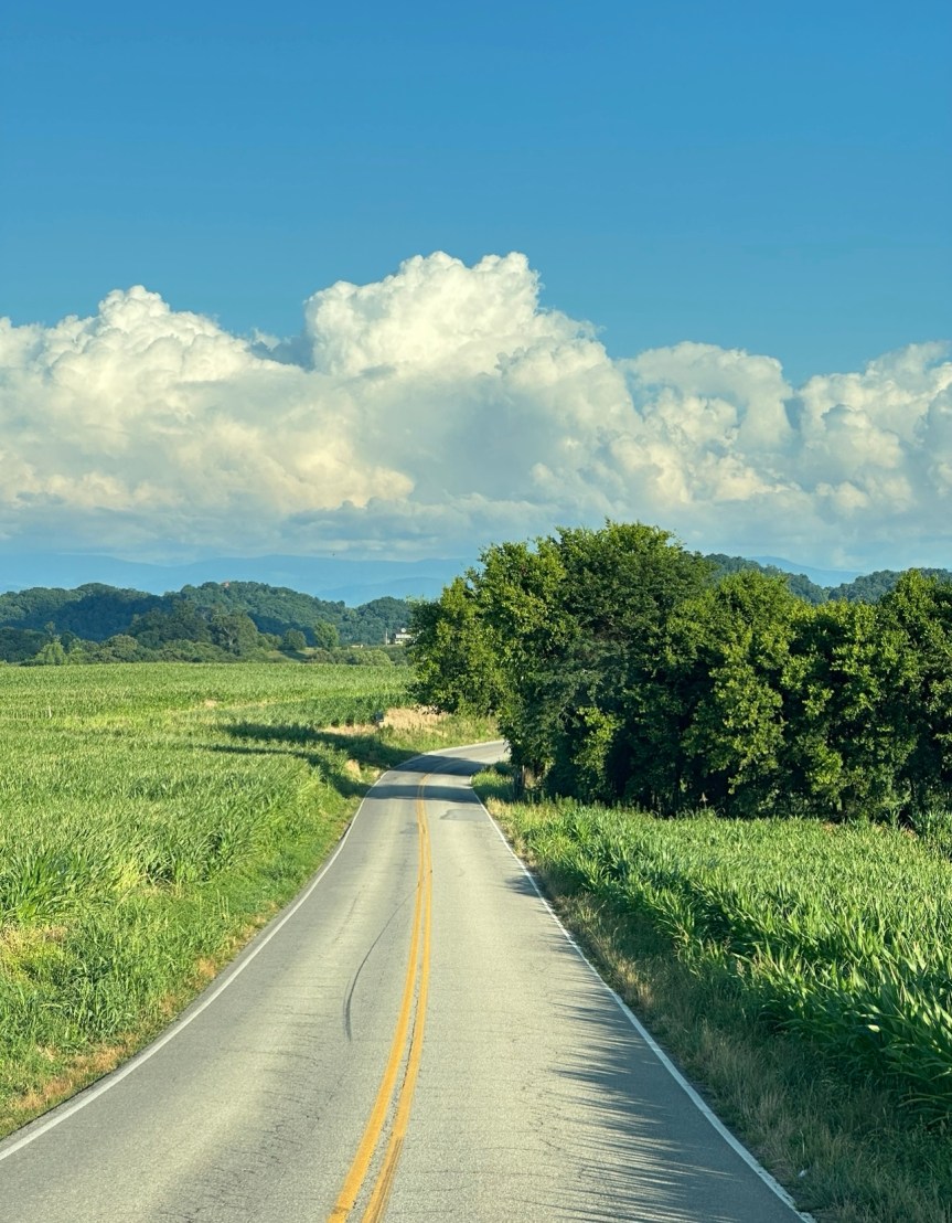 Wordless Wednesday 7-17-24