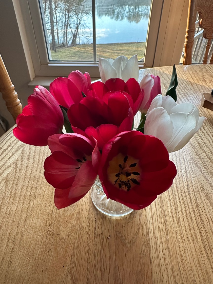 It’s Tuesday Let’s Catch&nbsp;Up