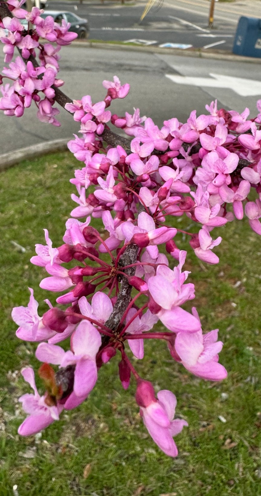 Goodbye March and Hello&nbsp;April!!