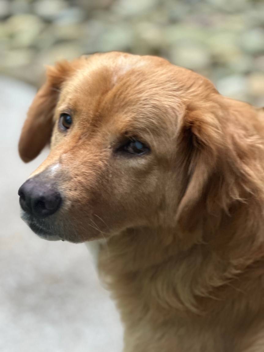 Hello Monday, Hello&nbsp;Bunnie!!