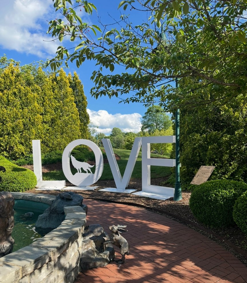 Wordless Wednesday 6-11-25